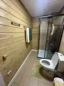 Dмитриевский - 62