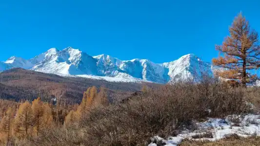Тала - 3