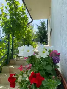 Verutsa - 3