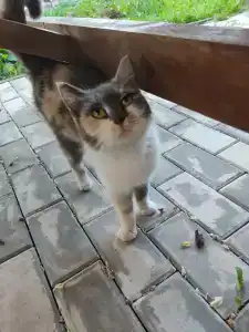 Гостевой дом на Янтарной 88 - 78