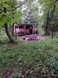 Автобус в лесу - 29