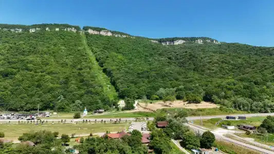 Кактус Арт - 5