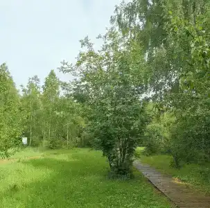 О`Лень - 97