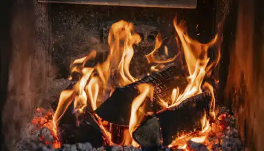 Трофимов Берег - 8