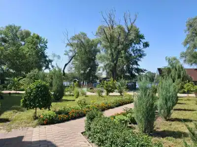 Березка - 35