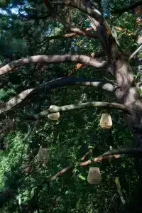 Wish Home Лесной Берег в Мясоедово - 78