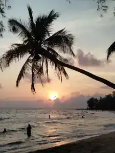 Vela Phu Quoc Resort - 26