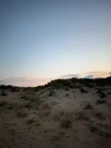 Русалочка - 95