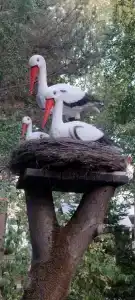 Золотые пески - 35