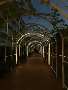 Gold Island - 38