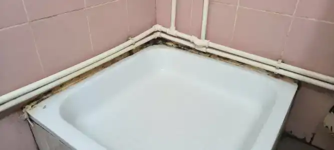 Ладожская Ривьера - 79