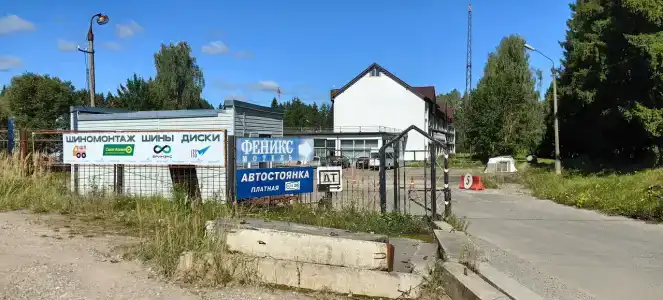 Феникс - 10