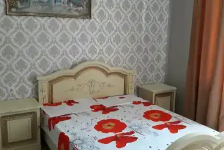 Азалия - 11