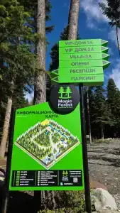 Magic Forest - 16
