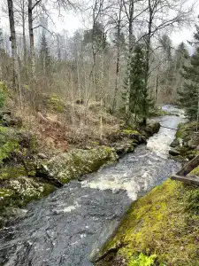 Калевалы - 35