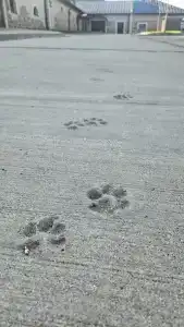 Свяцкі Палац - 34