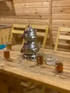 Экзотик Эльвар - 19