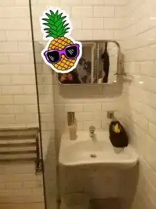 Скандинавия - 70