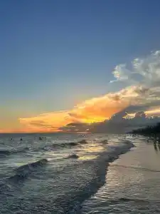 Palm Beach Resort & Spa - 18