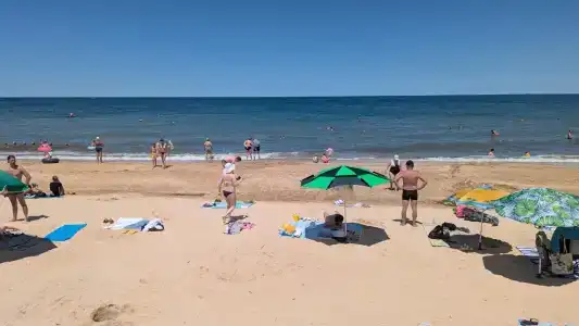 В гостях у Виктора и Ангелины - 2