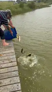 Широкая балка - 78