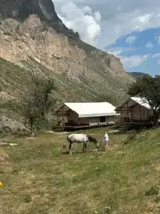 Сафари Парк - 48