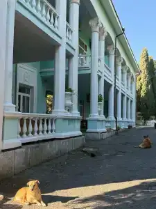 Ампир - 19