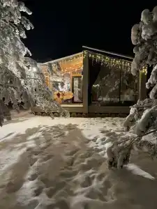 Дача в соснах - 8