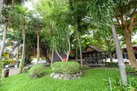 Paradise Resort - 47