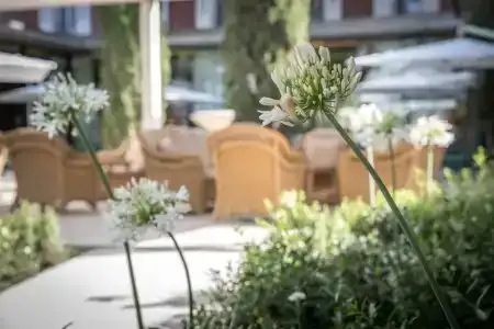 Maison Albars L’Imperator - 13