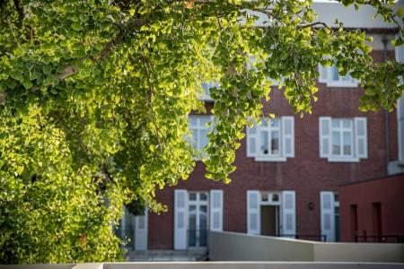 Maison Albars L’Imperator - 15