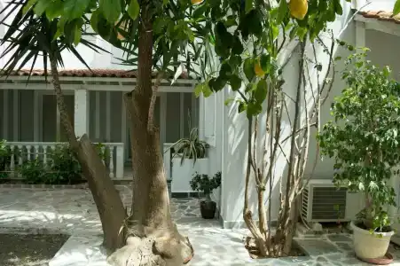 Paradise Beach - 28