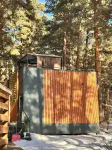 Magic Wood - 45