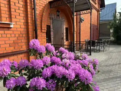 Волшебный Сад - 3