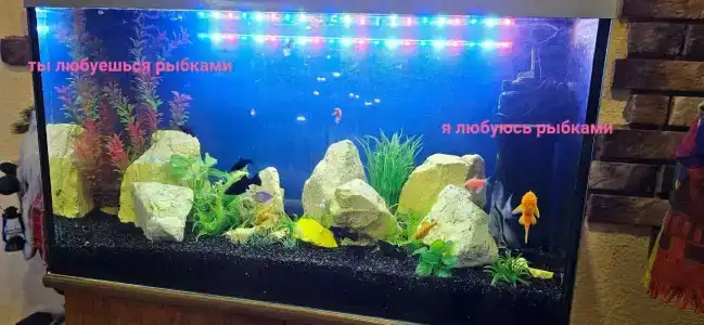 Тихая Гавань - 5