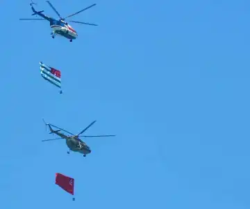 АлиСер - 30