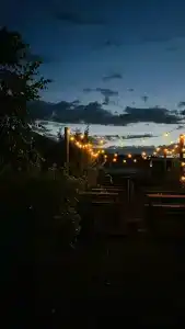 Солнечная поляна - 48