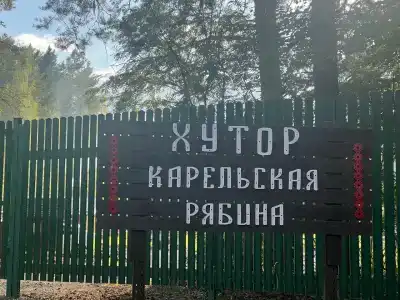 Карельская рябина - 42
