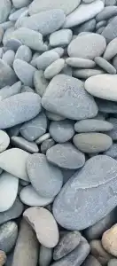 Эллинг 80 - 31