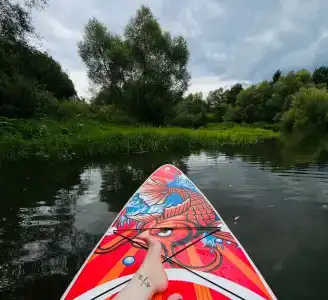 Лисица - 1