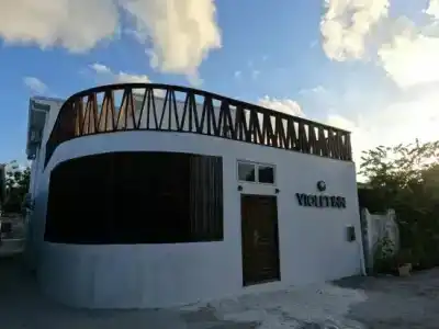 Violet Inn - 8