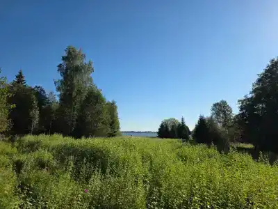 Тарасовская слобода - 35