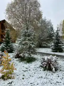 Лазурит - 29