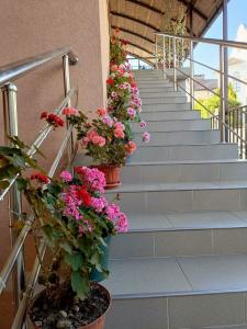 Loo Home&Sea - 7