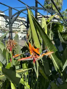 Aydinbey King's Palace & Spa - Ultra All Inclusive - 46