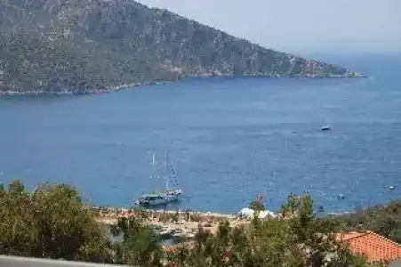 Mogons Exclusive - 8