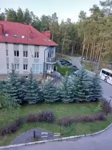 Русский лес - 75