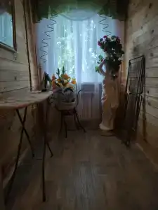 Теремок - 10