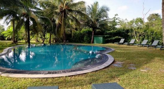 The Nature Park Villa - 14