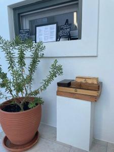 Yayaki Spetses - 21